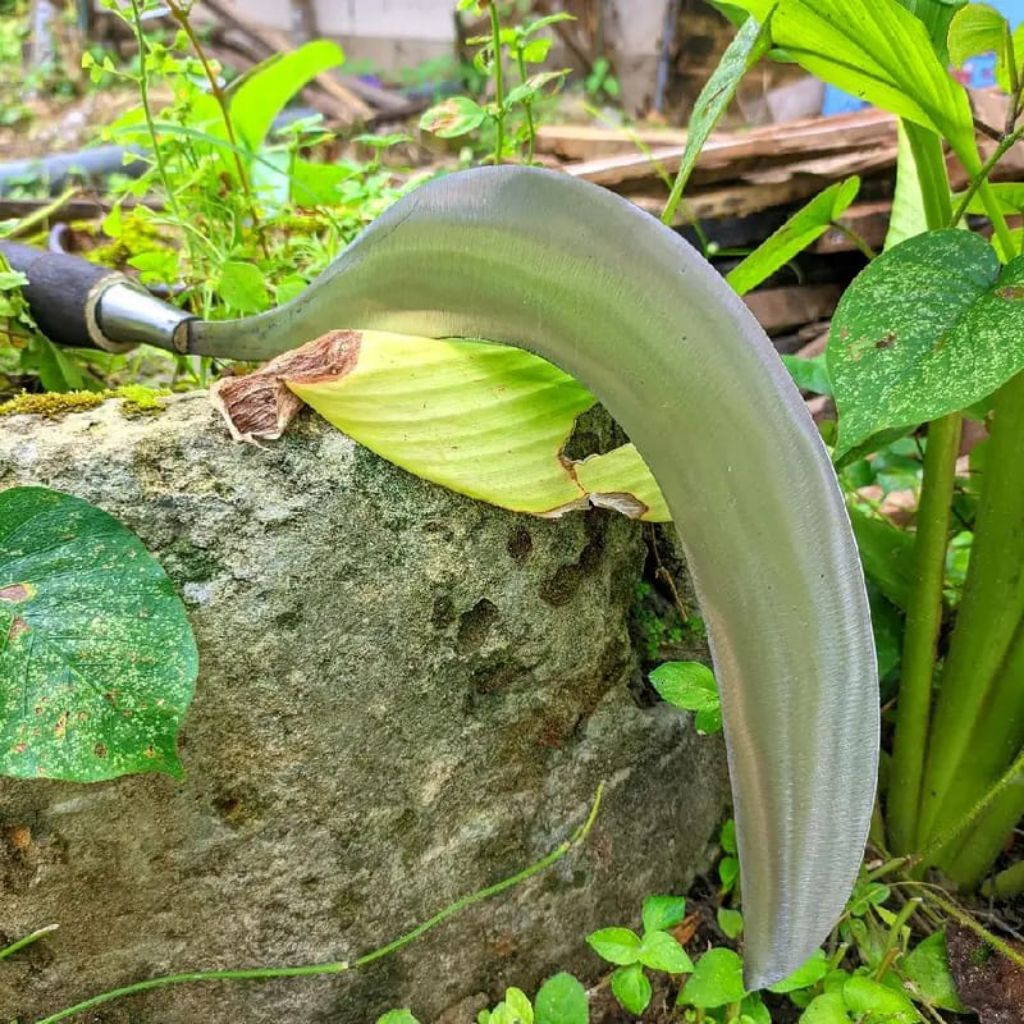 Arit Madura Cap Bintang 5 Ori Alat Berkebun Dan Tani