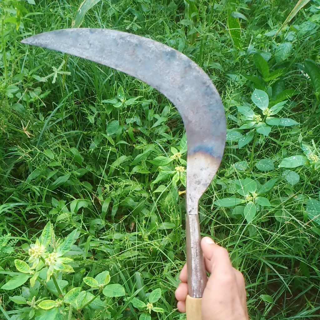 Arit Rumput tajam ukuran besar,bahan baja,asli pande Madura original