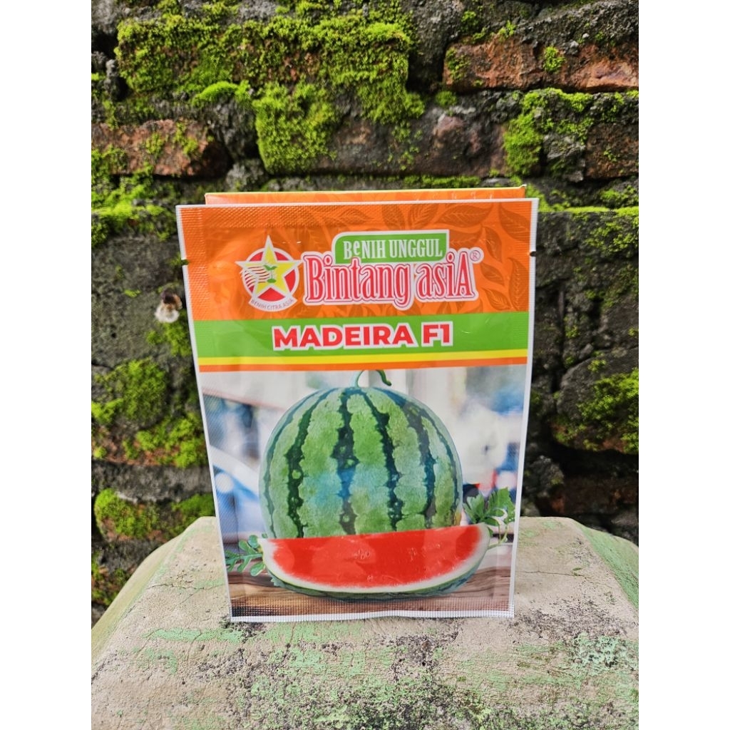 Benih Semangka Madeira F1 20 gram
