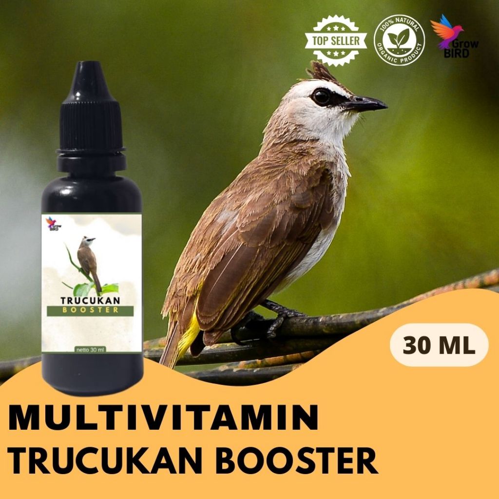 Vitamin Burung Gacor 30 ml Untuk TRUCUKAN Vitamin Penggacor Burung Rekomendasi Burung Kicau