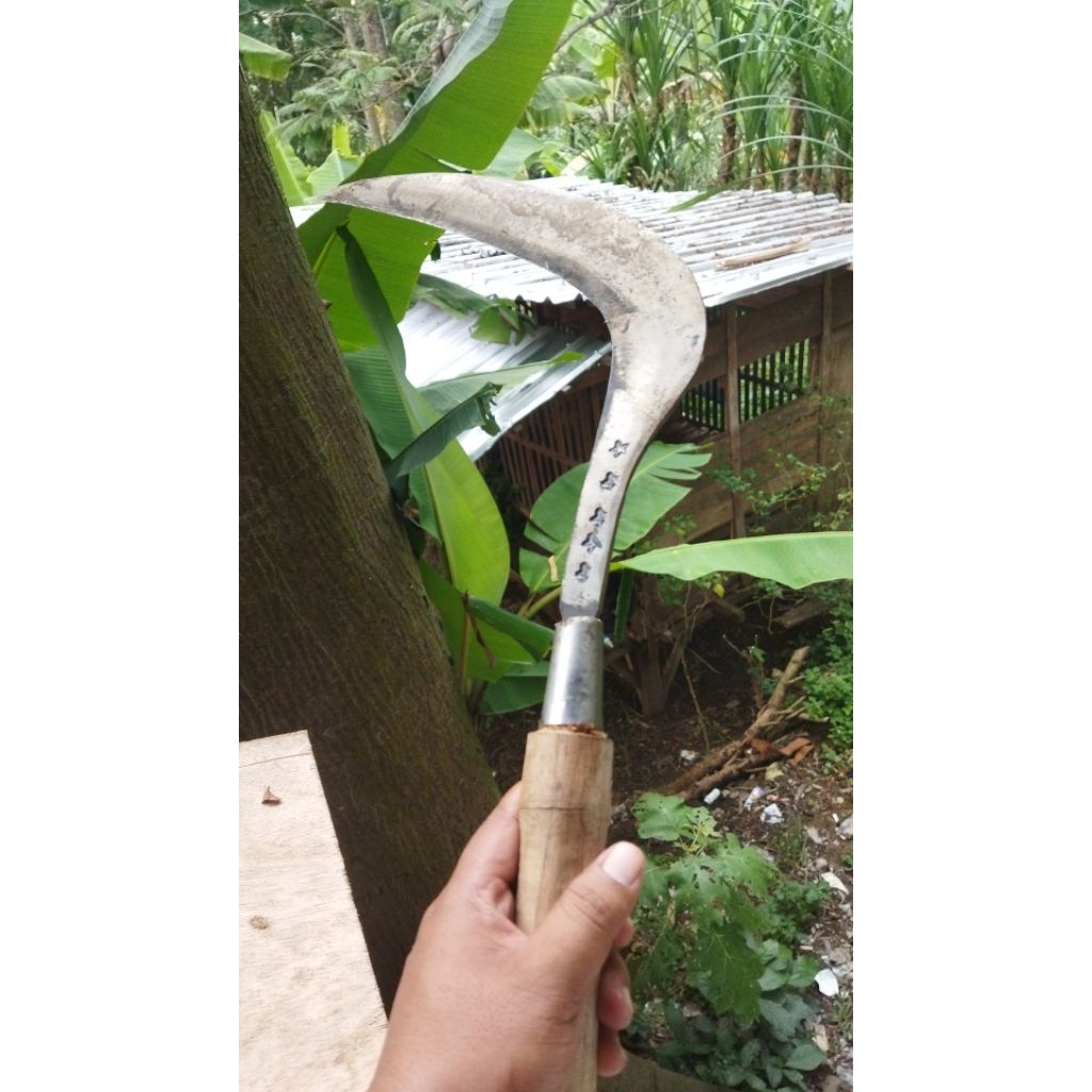 Alat Pemotong Rumput Arit Bintang 5 Pande Sepuh Jawa