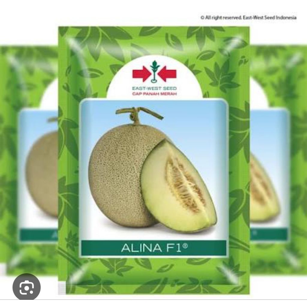 benih bibit melon ALINA F1 500 BIJI