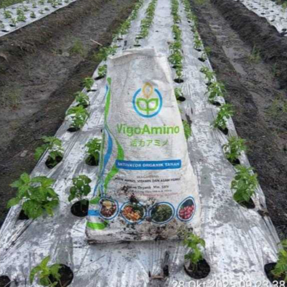 Vigo Amino Kemasan Repack 1kg Pupuk Organik Asam Humat Asam Amino dan Vitamin