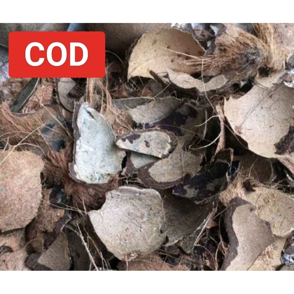 1KG BATOK KELAPA CACAH KERING / TEMPURUNG