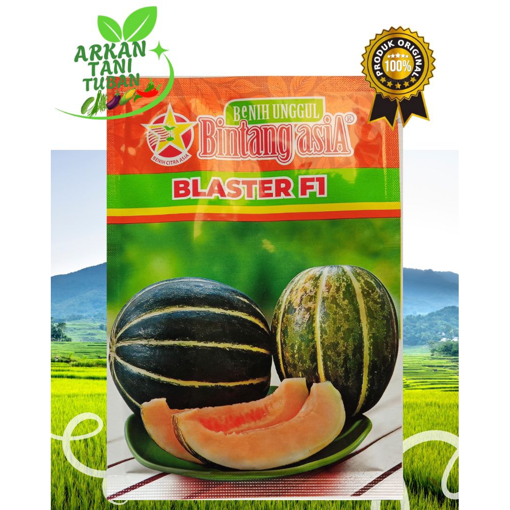 BENIH BLEWAH BLASTER F1 15 GRAM - BINTANG ASIA