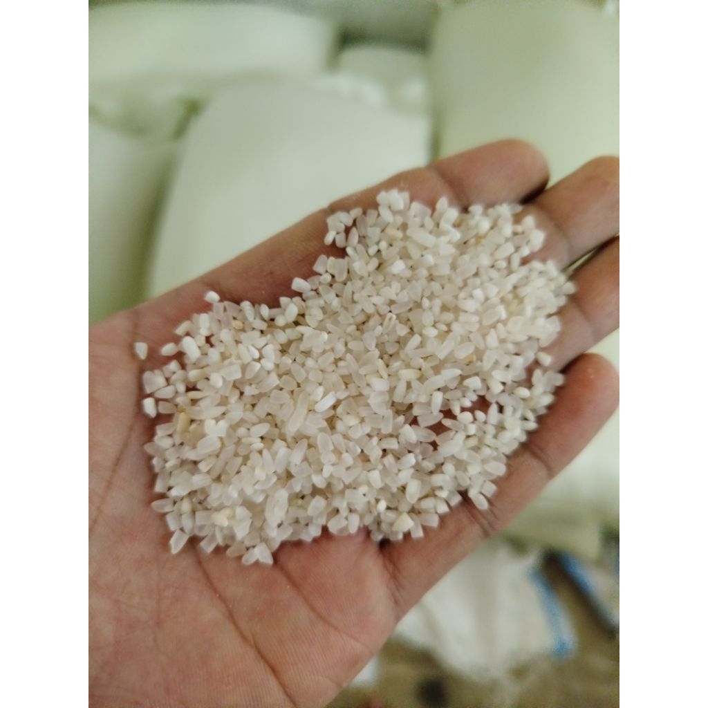 Beras menir/beras menir konsumsi