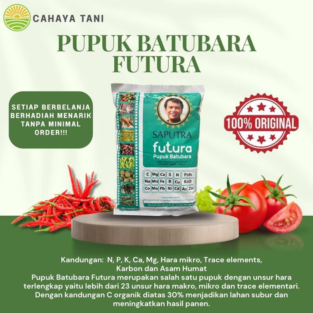 Pupuk Batubara FUTURA 1Kg