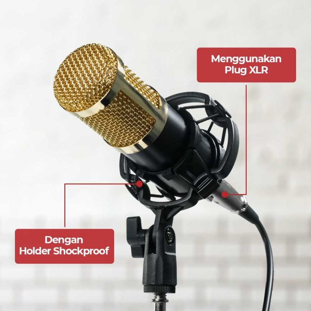 Mikrofon Kondenser XLR Condenser Microphone with Holder