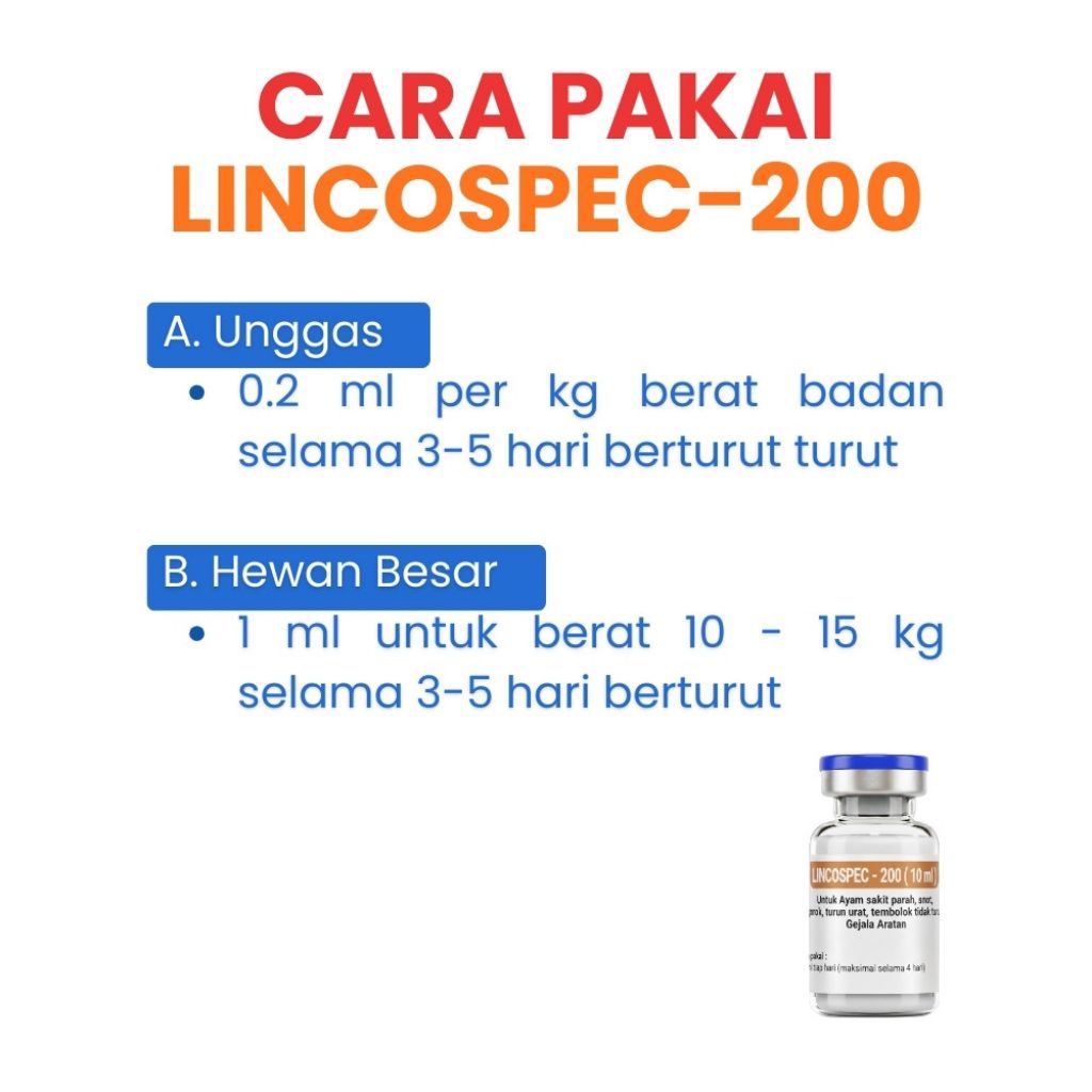 lincospec 200 dan jarumnya