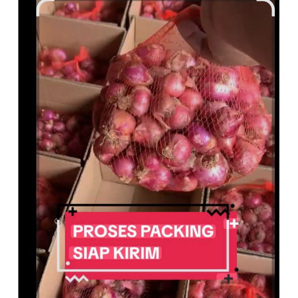 1kg bawang merah besar asli temanggung