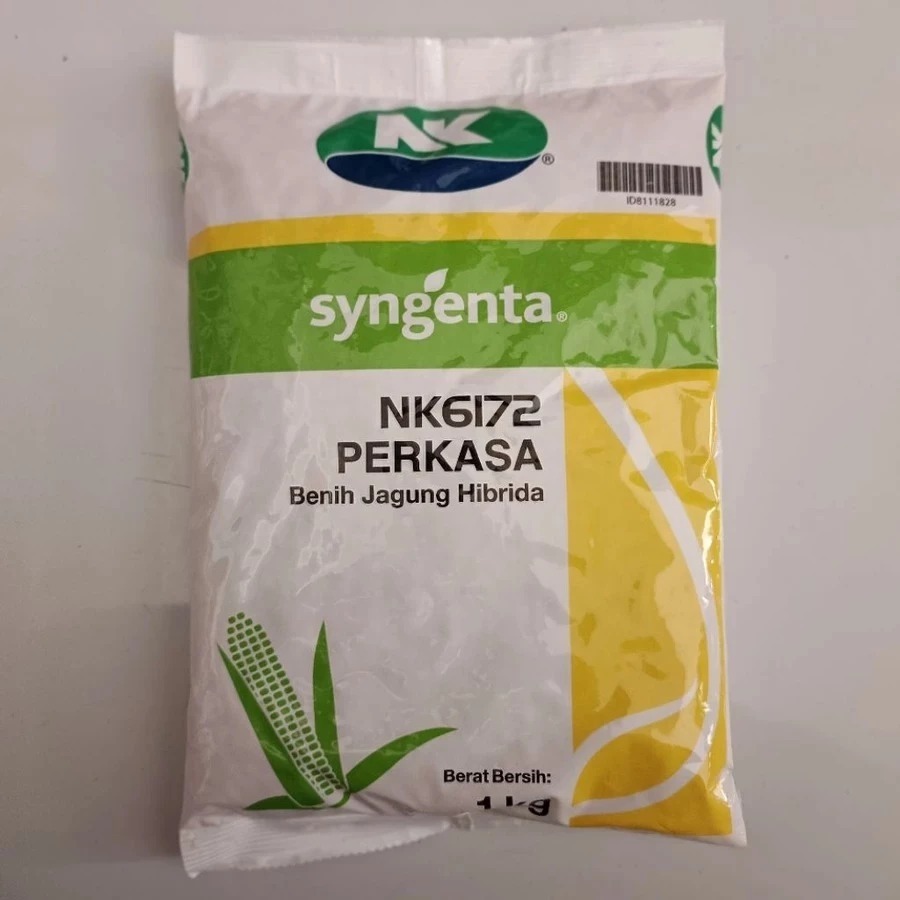 Benih JAGUNG HIBRIDA NK 6172 PERKASA 1KG #bibit jagung#jagung perkasa#bibit nk perkasa