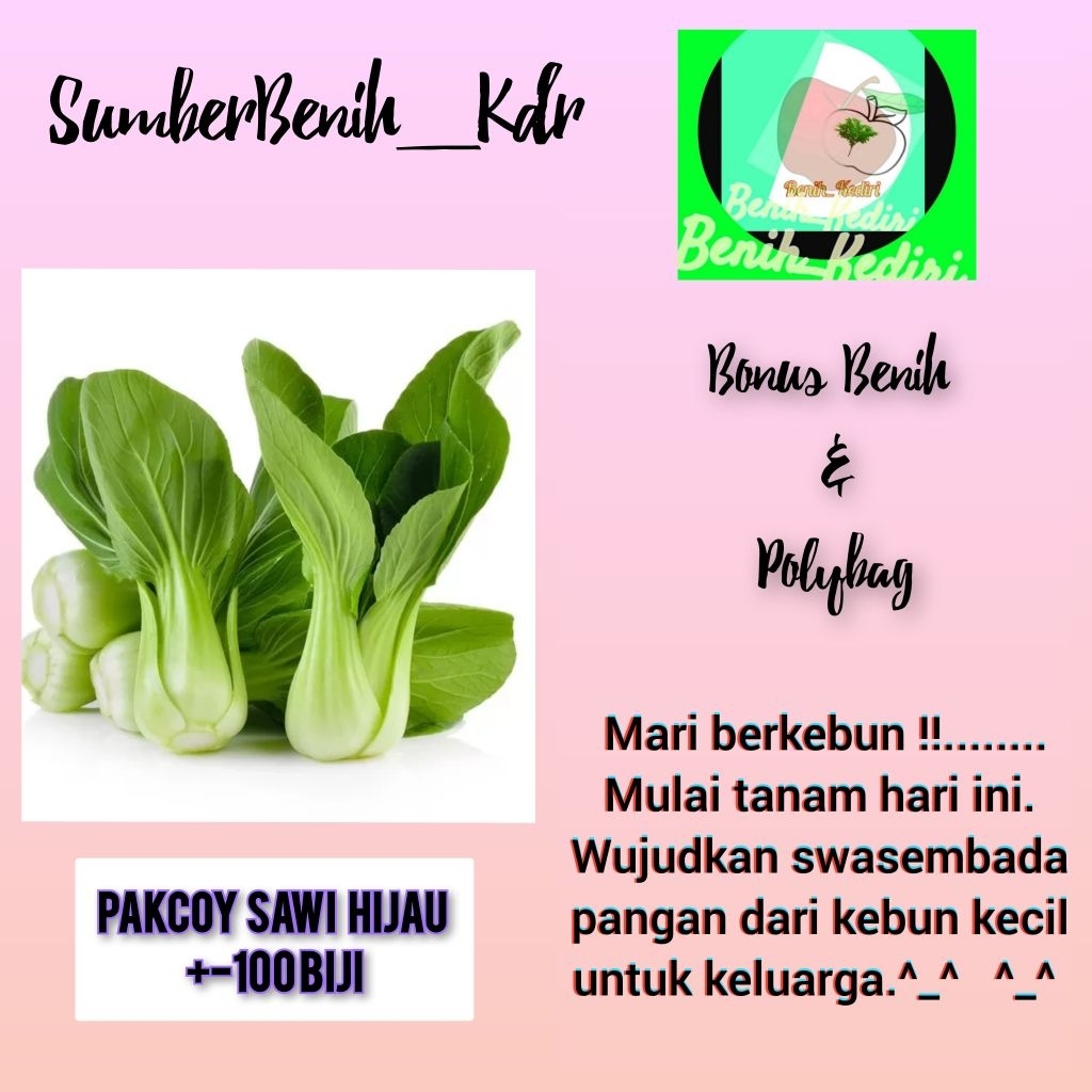 100 biji bibit benih sayur sawi pokcay pakcoy nauli nauly sawi daging f1