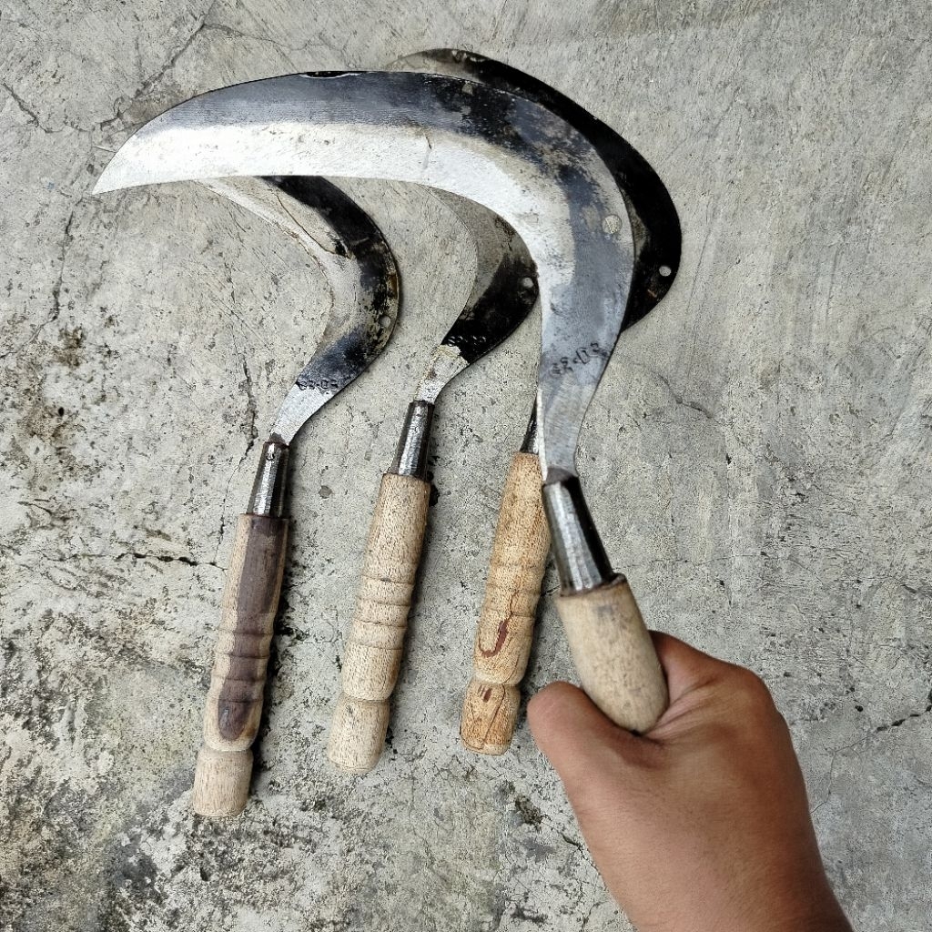 Sabit Pemangkasan Rumput Bahan Dari Baja Pir