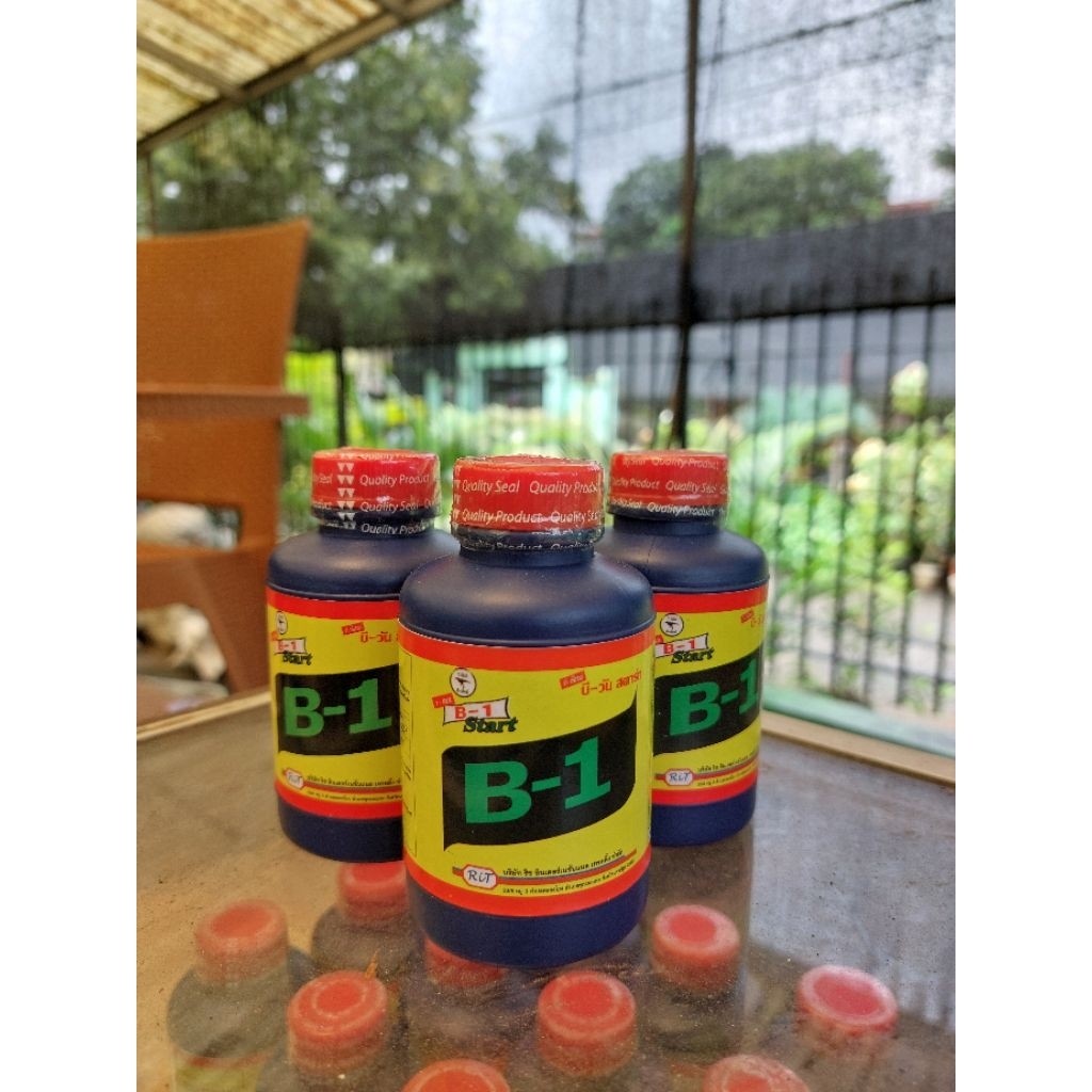 pupuk B1 Thailand botol kecil