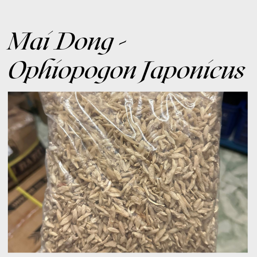 Mai dong / mai men dong / Ophiopogon japonicus (500gr)