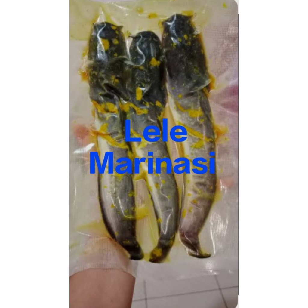 JUAL LELE MARINASI FROZEN FOOD
