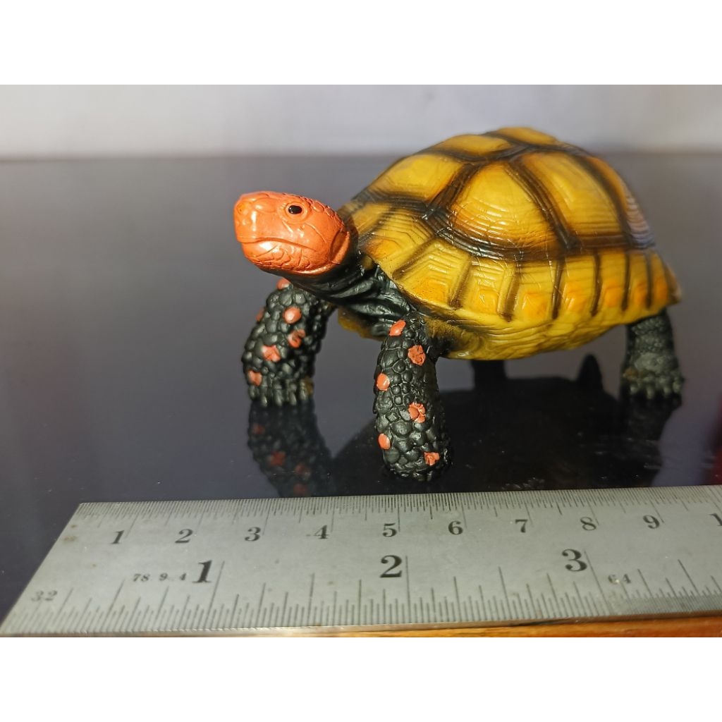 Figure kura-kura cherry head tortoise