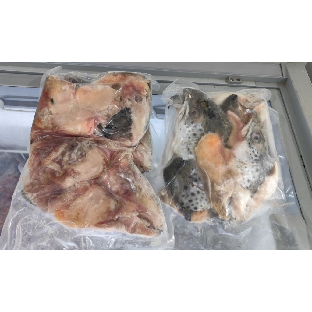 Kepala Ikan Salmon 1kg