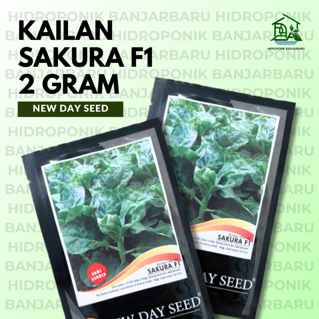 BENIH KAILAN SAKURA F1 NDS NEW DAY SEED ISI 2 GRAM