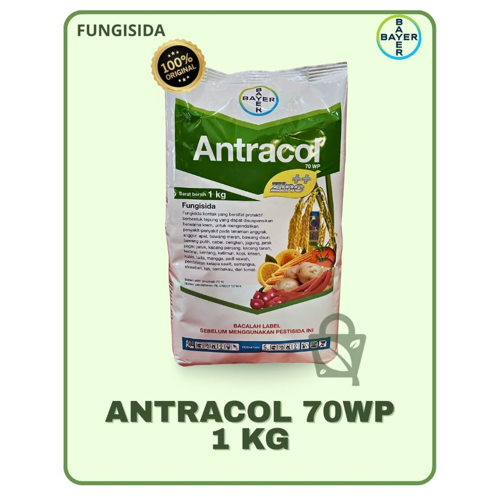 Antracol 70WP 1kg Fungisida Original