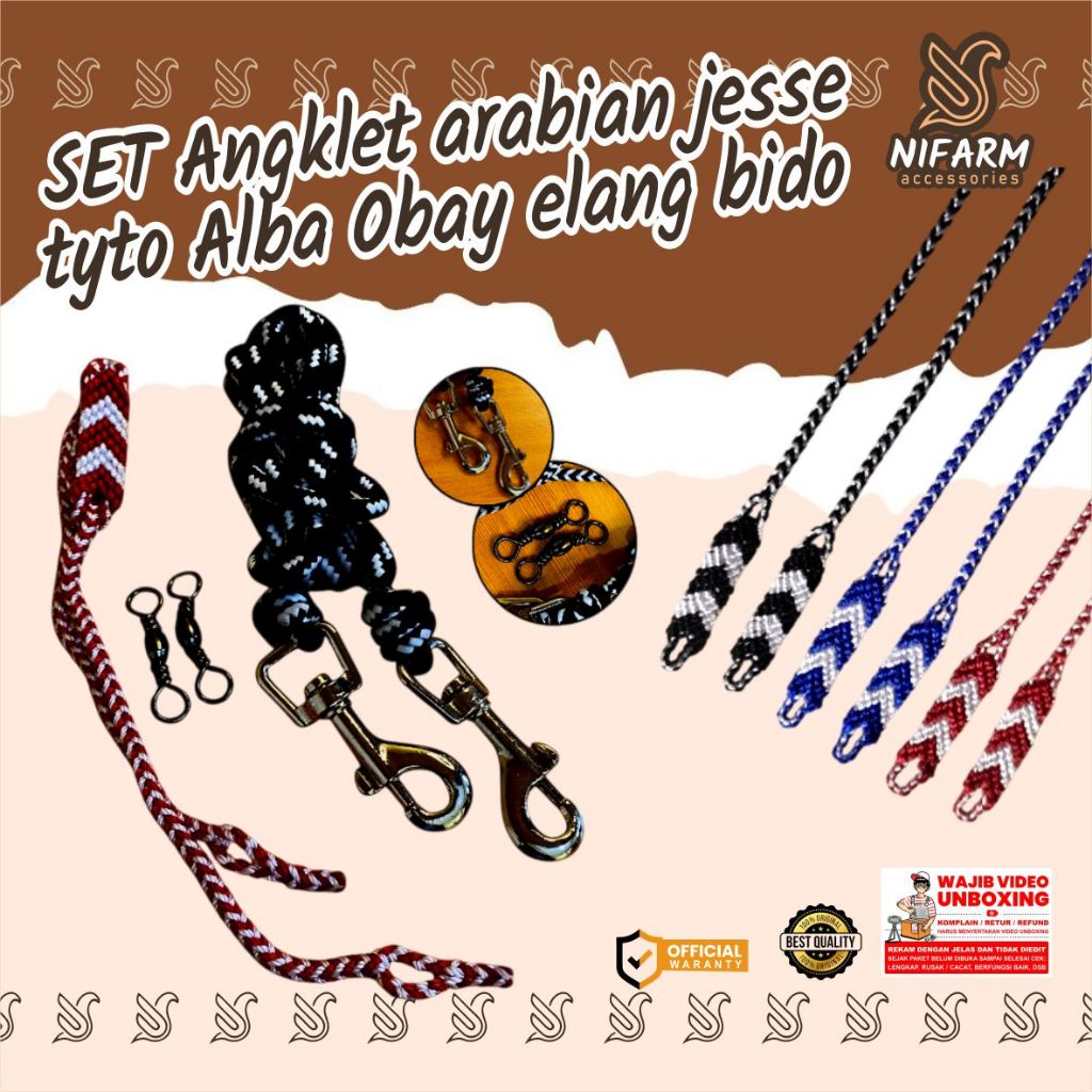 SET Angklet arabian jesse elang Bondol/tyto Alba/Obay/elang bido