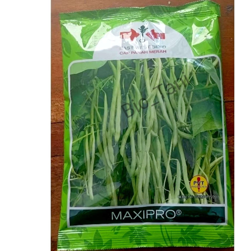 Benih Buncis Maxipro 500 gr