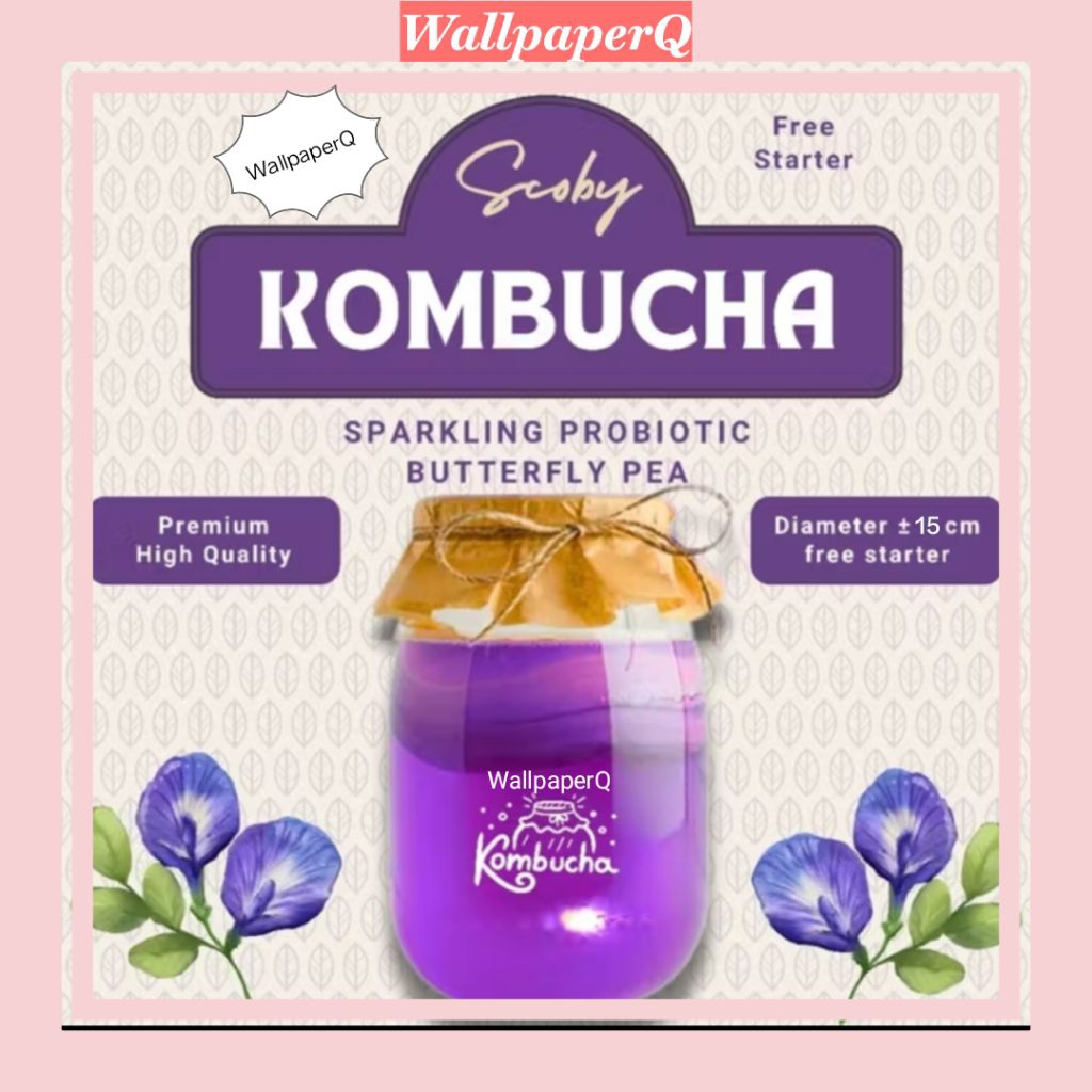 Scoby  Kombucha Starter  Probiotik Scoby Kombucha Bibit Scoby Kombucha 1Liter Scoby Kombucha bunga t