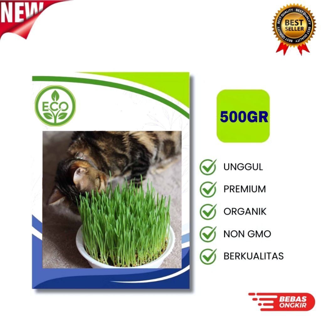 Benih RUMPUT KUCING [500GRAM] - Biji Wheatgrass Rumput Gandum