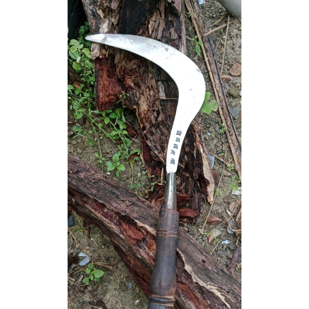 Sabit Rumput Bintang 5 Kualitas Terbaik