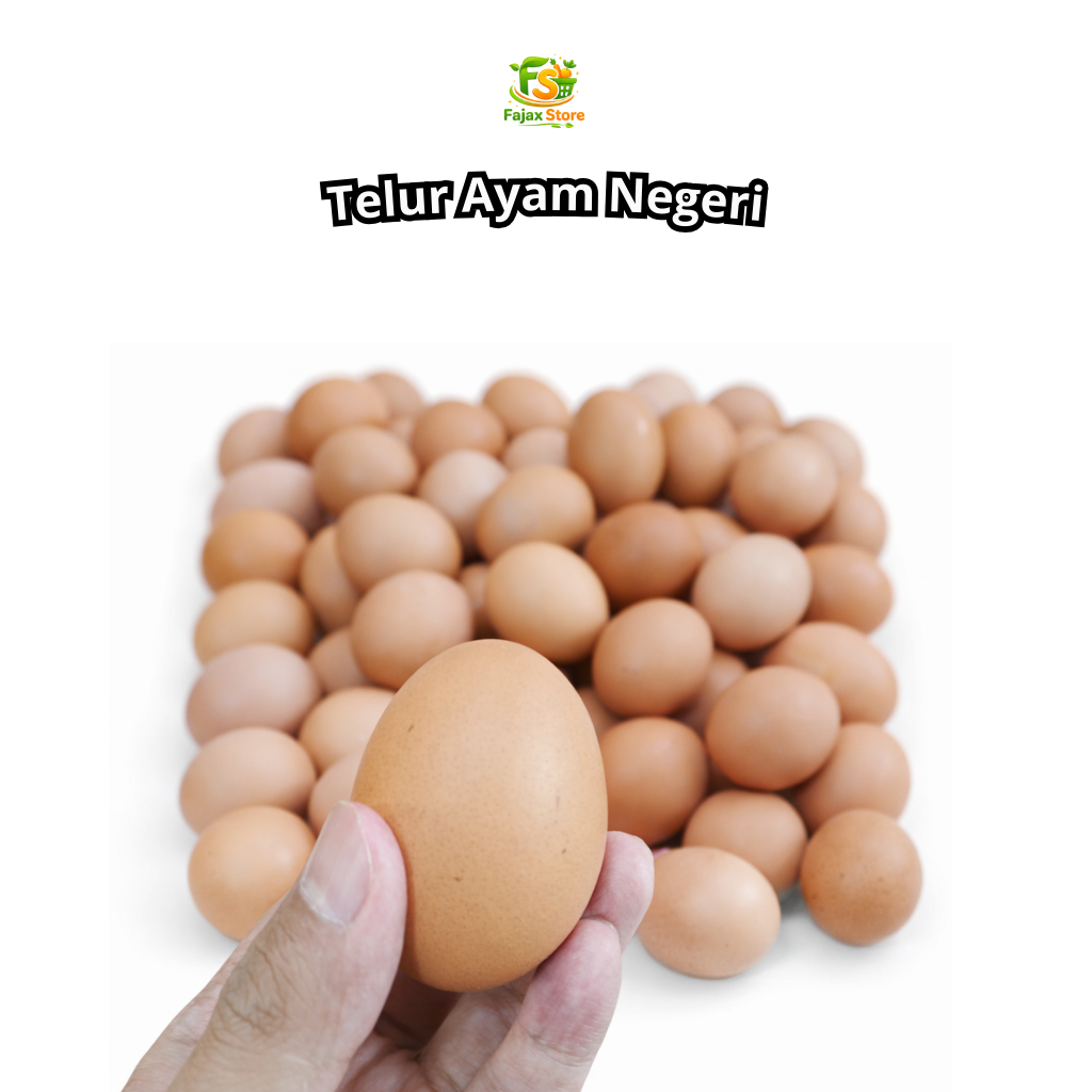 Telur Ayam BESAR isi 6 dan 10 butir Packing plastik Mika - Promo Bandung