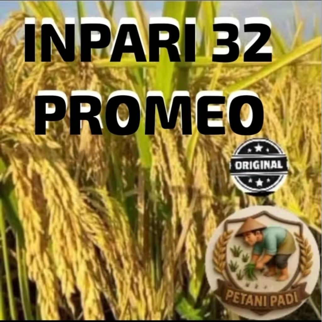 BENIH PADI INPARI PROMEO 32 KEMASAN 5KG