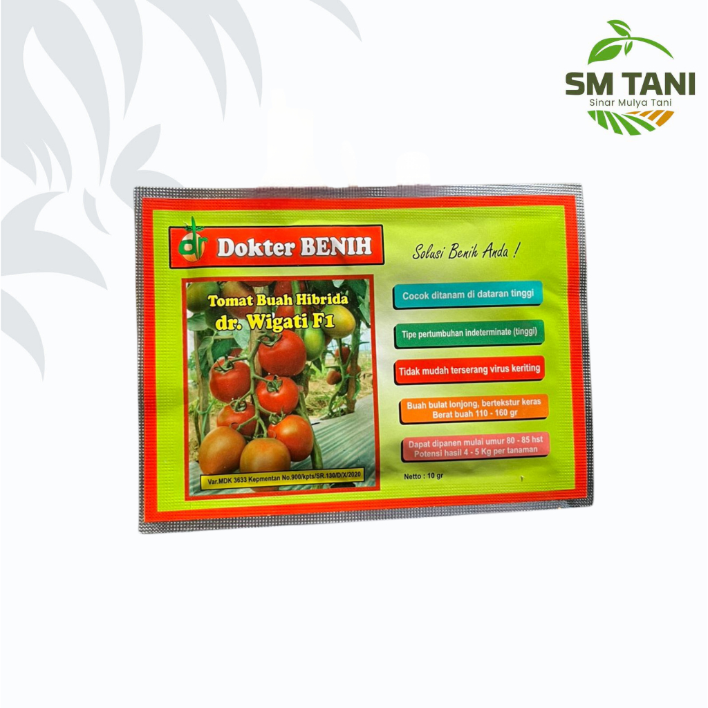 Benih Tomat buah hibrida dr Wigati F1 10 gram