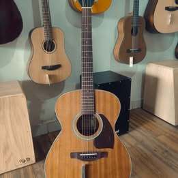 Gitar akustik Grande FW401E NS