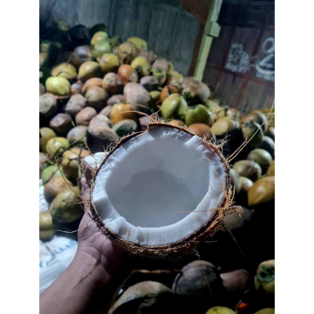 Kelapa Tua santan