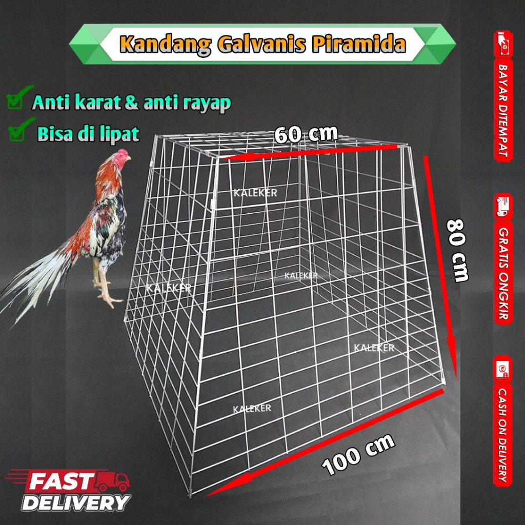 Kandang Ayam Galvanis Piramida Jumbo Anti karat 100x80x60