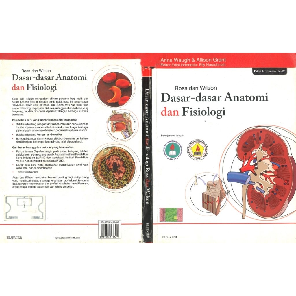 DASAR DASAR ANATOMI DAN FISIOLOGI EDISI KE 12
