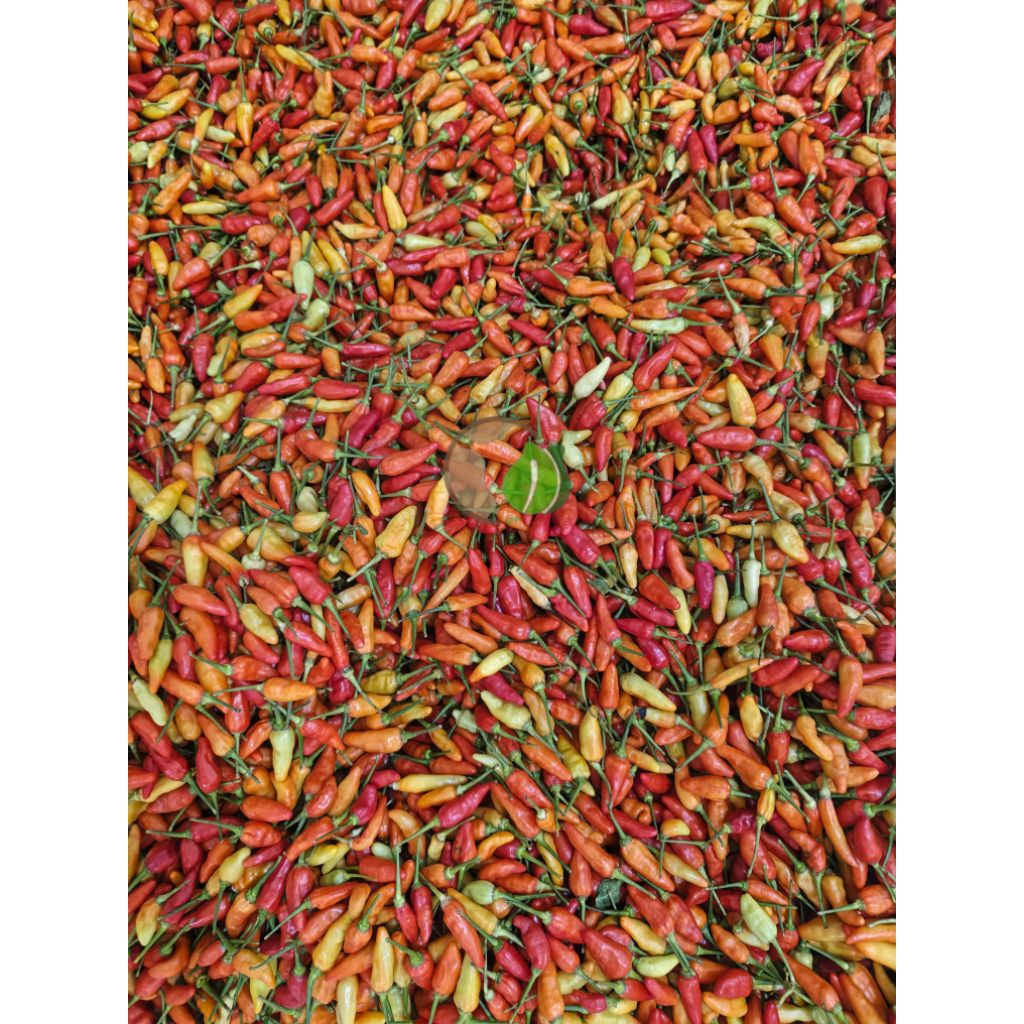 CABAI RAWIT LOKAL 1kg