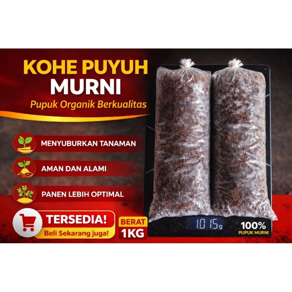 kohe puyuh kering murni 1kg tanpa campuran