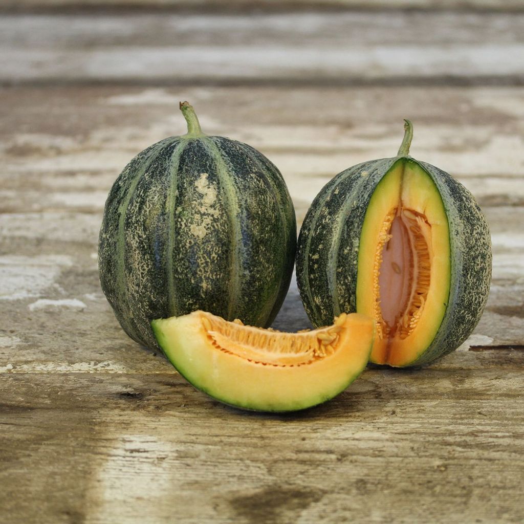 TABUR BENIH BUAH BLEWAH