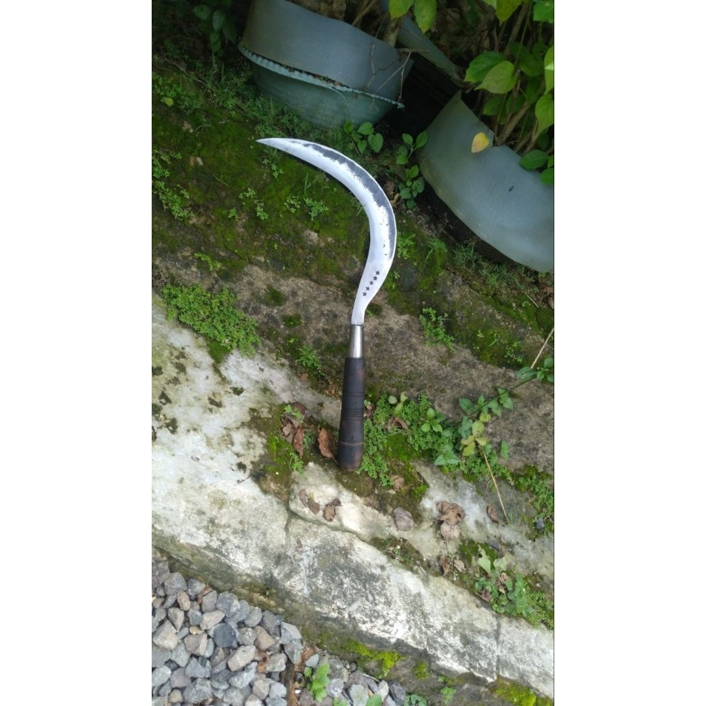 Arit rumput,arit ramban DLl,khas madura full baja sli