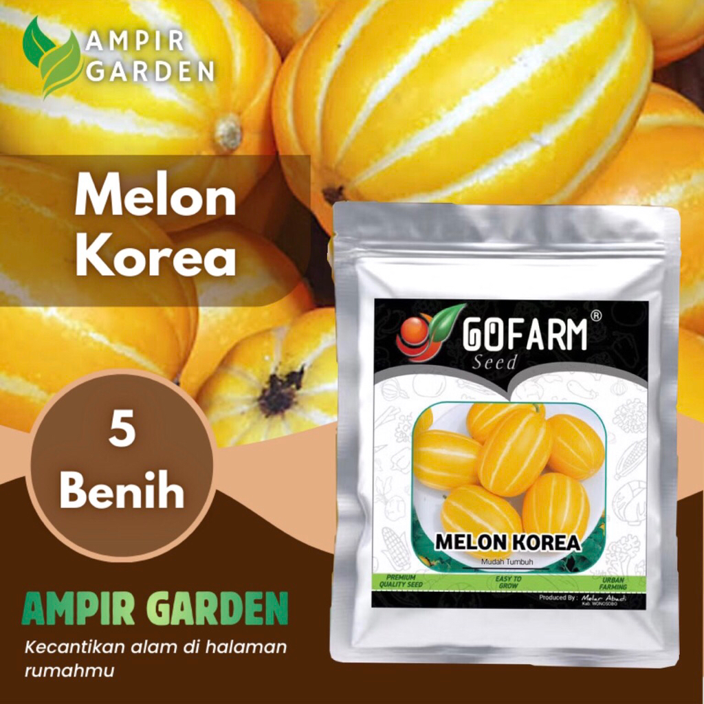 Benih MELON KOREA Chamoe Kemasan Premium GOFARM / Biji Benih Tanaman Buah Melon Golden Korea / Melon