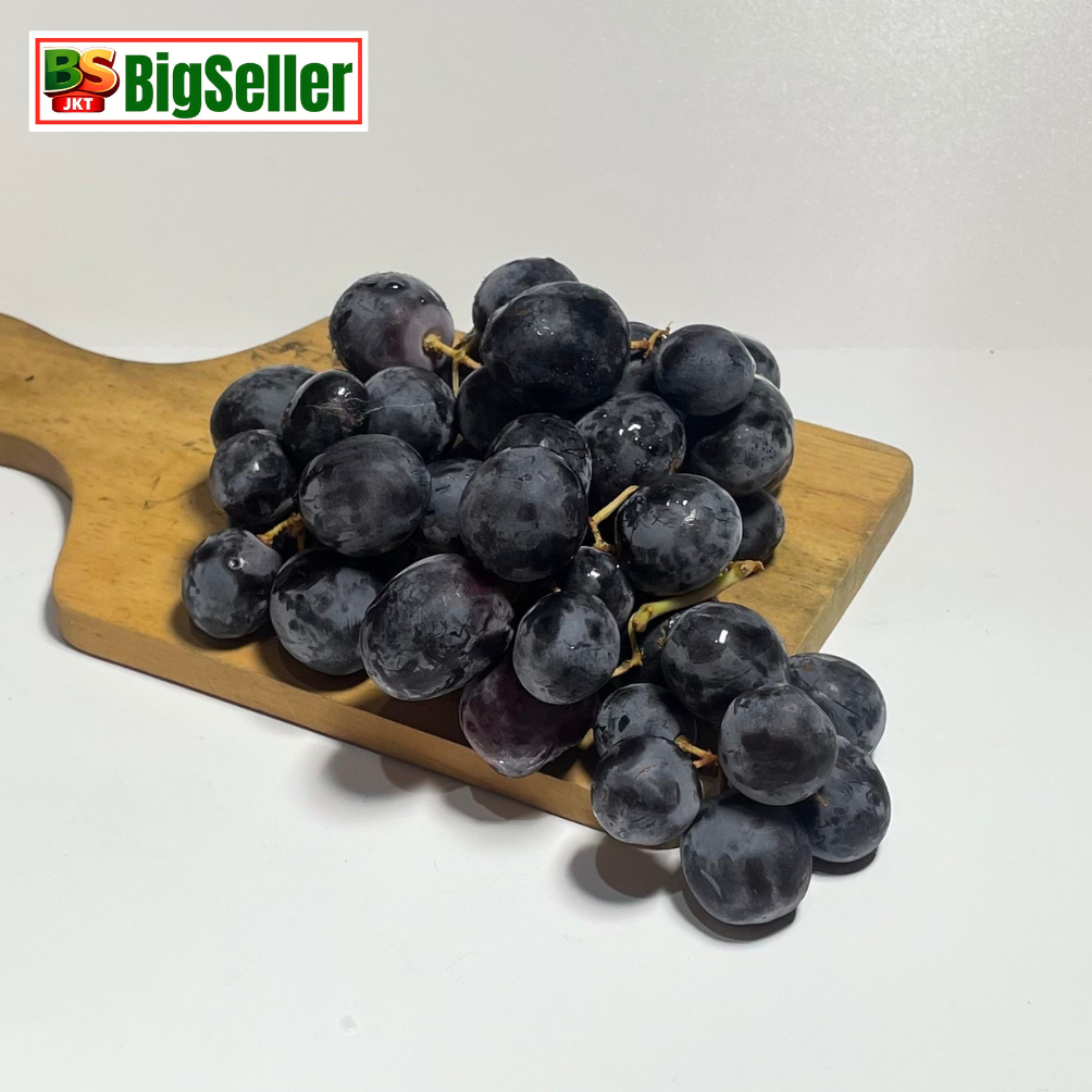 BUAH ANGGUR HITAM NON BIJI BLACK SEEDLESS SUMMER ROYAL AUTUMN GRAPES 500 GRAM