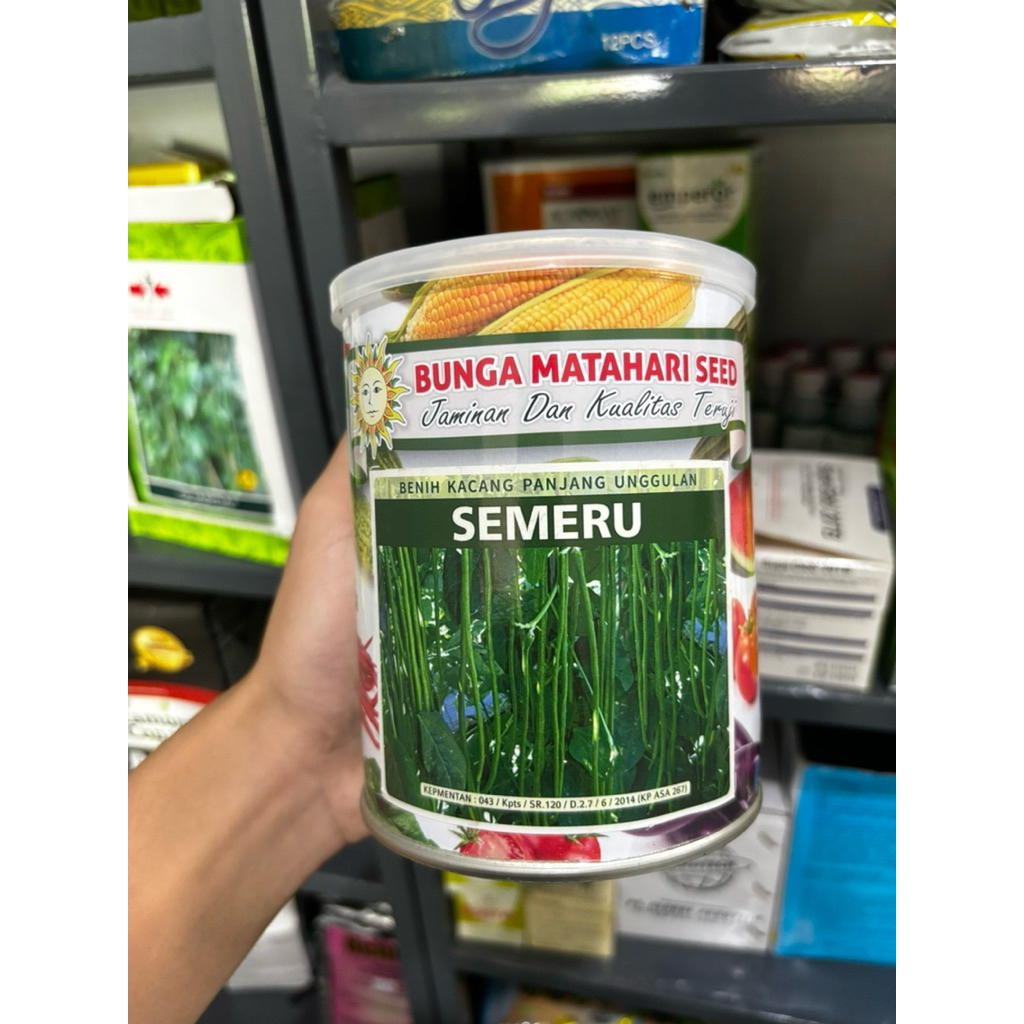 Kacang panjang semeru 500 gram