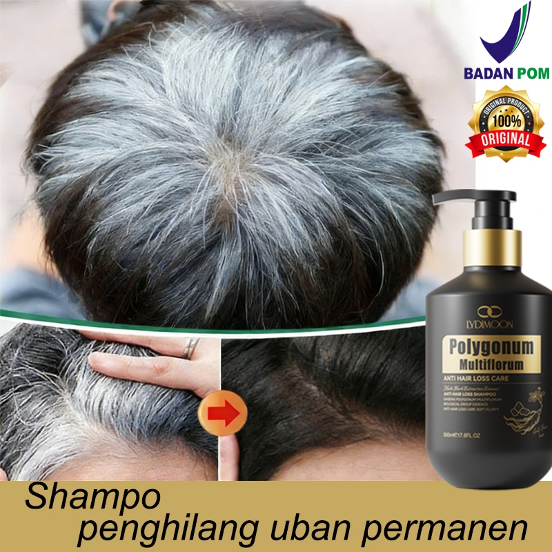 Shampo Penghilang Uban Permanen Penghitam Black  Shampoo Anti Rontok Shampo 500g Mengubah rambut put