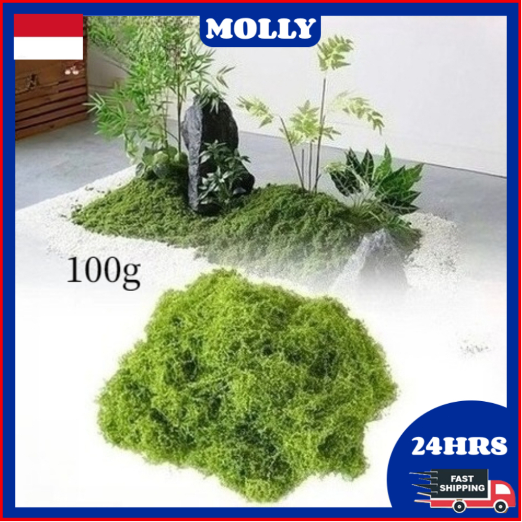 Dekorasi Moss Lumut Abadi Green Grass Artificial Hiasan Dekorasi Ruangan Rumah Ekorasi Lumut Kering