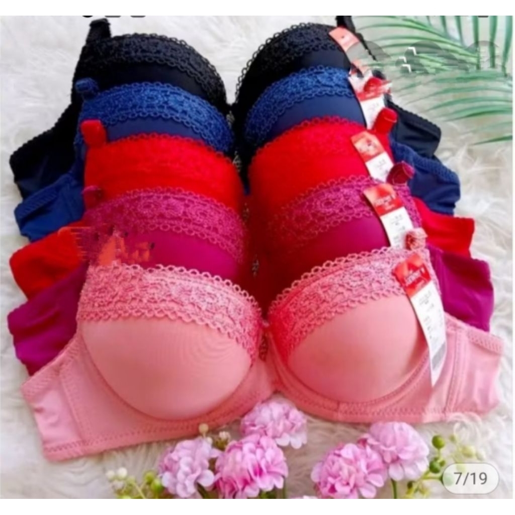 BH 086 /BH ABG KAWAT BUSA TEBAL CUP A KANCING/KAIT 2