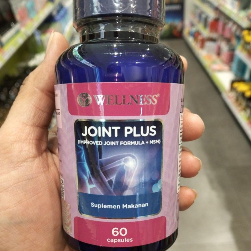 Wellness JOINT Plus 60 capsules
