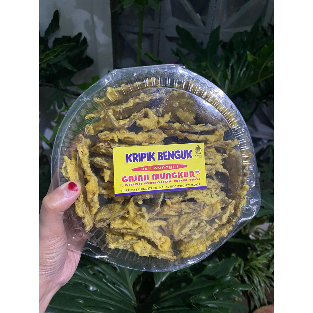 Keripik koro Benguk