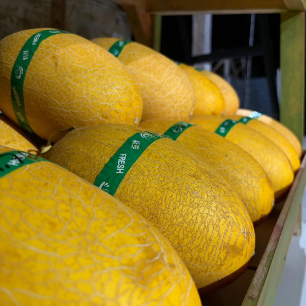 Melon Lavender Grade A - Premium