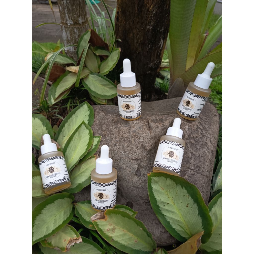 minyak kemiri murni 100%